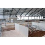 Direct Supply Steel Structure Livestock Shed for Cow in Prefabricated Design