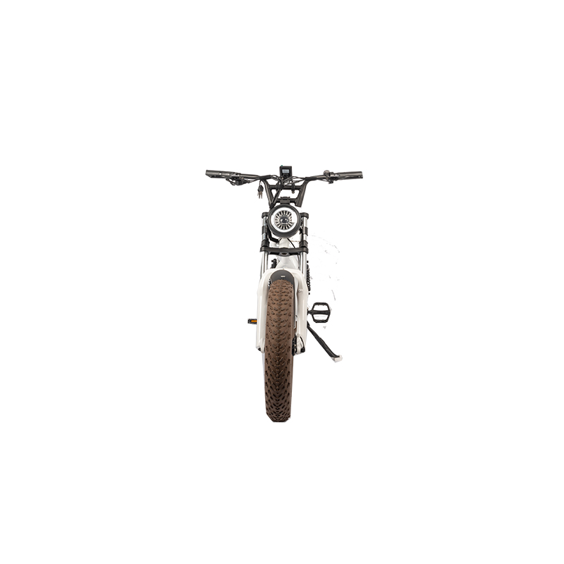 Vintage Moto Style Electric Bike 48V Battery 750W 1000W Motor 7 Speed 20" Tire Ebike