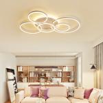 Cool Rings ceiling lights White Color For Indoor Home Lighting Fixtures (WH-MA