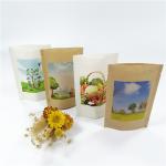 Biodegradable 100mircon VMPET Kraft Paper Packaging Bag