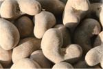Soy Sauce Flavoured Cashew Nuts Natural Healthy Nutrition Good For Eyesight