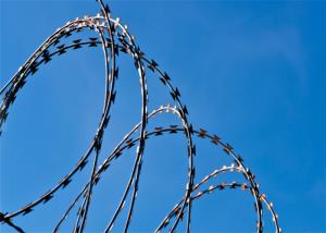 Wholesale 450mm Galvanized 3 Clips BTO 22 Razor Wire Concertina Cross For Security from china suppliers
