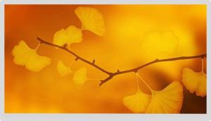 Wholesale 16.7m 3H IPS TFT LCD Display 1920x1080 Lvds Interface 30 Pin 21.5 from china suppliers