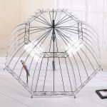 POE Rain Stick Birdcage Umbrella , Auto Open Clear See Thru Umbrellas