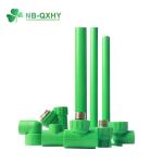 PPR Fittings Series Copper Female Couping Blue Green White Gray with Customizati