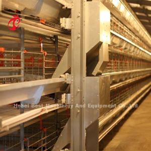 Wholesale Electric Control Poultry Layer Cage System Layer Chicken Steel Cage Emily from china suppliers