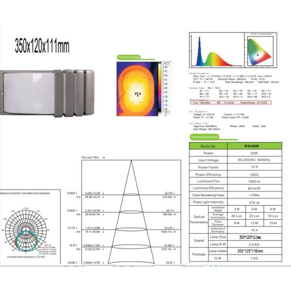 20W Emergency Outdoor LED Wall Light Surface Mounted With Black Housing
