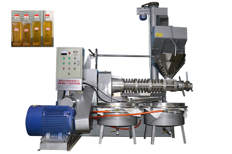Simple Operation Screw Oil Press Machine 400 * 750kg/H Capacity 37kw Power