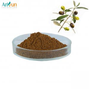 Wholesale Natural 20% Oleuropein Olive Leaf Extract Powder 80 Mesh from china suppliers