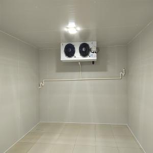 Wholesale Nature-Friendly Cold Storage Room for Vegetable and Fruit Production PU100426 from china suppliers