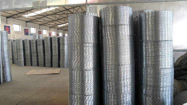 CBT-65 45 Cm Barbed Wire Security Galvanized Coil Wrapped Concertina Tape