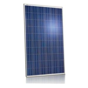 Wholesale Black PV Solar Panels / Monocrystalline Silicon Solar Panels Water Resistance from china suppliers