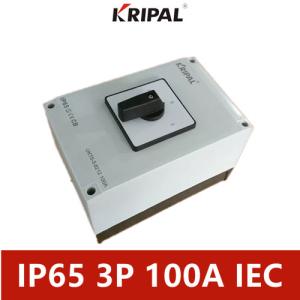 Wholesale Four Pole IP65 Electrical Changeover Cam Switch 100A 230-440V from china suppliers
