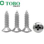 Stainless Steel A2 DIN7983 Cross Raised Countersunk Head Self Tapping Screw
