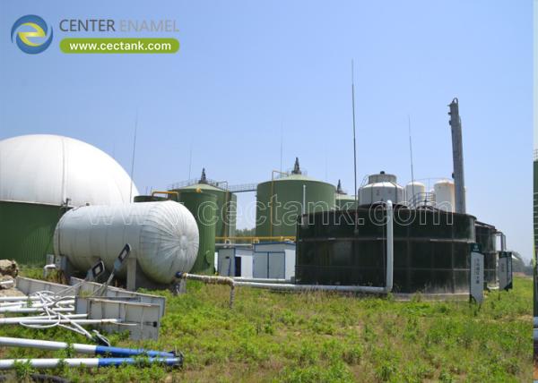 Superior EPC Turnkey Supplier for Waste Biogas Power Full Packaged System with