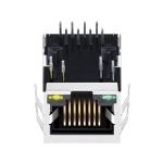 13F-69GYD2NL Ethernet RJ45 Jack Single Port 10/100 Mbit LPJ0006ABNL