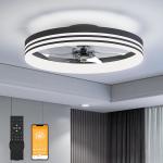 20 Inch 5 Blades 6 Wind Speeds Smart Low Profile Ceiling Fan Lights Flush Mount