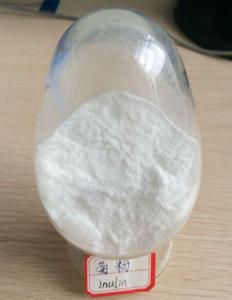 Wholesale 100% natural Chicory root extract Inulin 90% HPLC powder from china suppliers