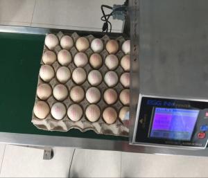 Wholesale Original Egg Print Silver Head For Inkjet Printer One Year Warranty from china suppliers