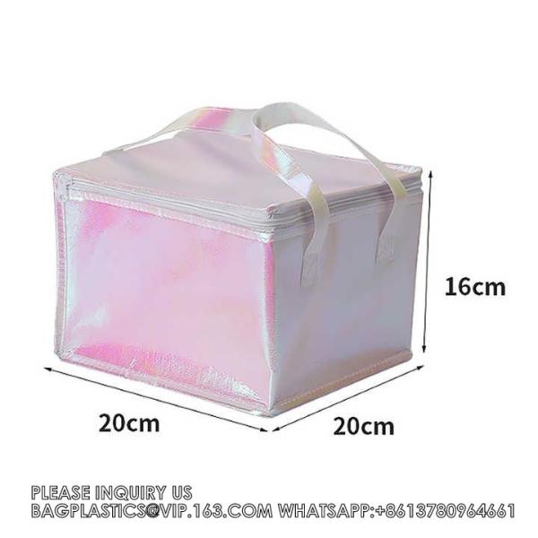 Insulated Reusable Grocery Picnic Zipper Cooler Bag Keep Cool Popsicle Packaging