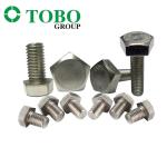TOBO Custom Stainless Steel And Carbon Steel Penta Pentagon Head Bolt