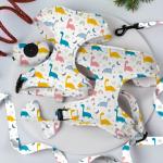 Personalized Cute Dog Collar Lead Set XL Dog Leads For Big Dogs