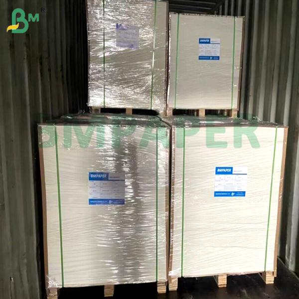 Single Side PE Coated Paper Cup Stock 230g 250g Waterproof Microwave Safe For