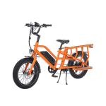 Electric Bike Dual Battery 48V500W Rear Motor for Family Maximum Load 80km Range