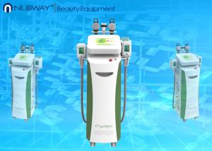 Wholesale Multifunctional cryotherapy weight loss / cryolipolysis slimming for salon use from china suppliers