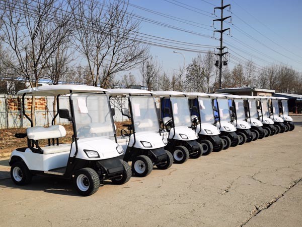 35mph Two Seat EV Blue Golf Car Electric Buggy Road Legal With All Terrain Tires