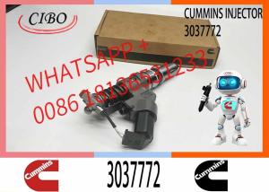 Wholesale Factory Wholesale Diesel Fuel 3037772 Injectors Cum-mins M11 Injector 3081319 3087557 from china suppliers
