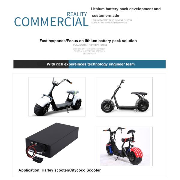 Citycoco Harley NMC Lithium Ion Battery 60V 20Ah For Electric Scooter
