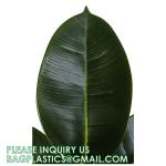 80cm Nearly Natural Looking Oak Tree Faux Plants Ornamental Indoor Tree