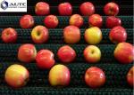 High Efficiency Cylindrical Roller For Fruit&Vegetable Cleaning Brush Galvanized