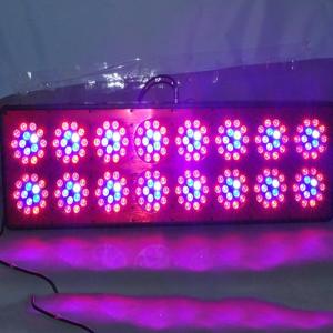 Wholesale aeroponic system led panel grow light 600watt 3w chips powerful bloom led grow lights gree from china suppliers