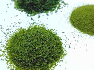 Wholesale Japan Aonori Ao NORI KO Flakes Green Ulva Seaweed Laver Powdered For Sprinkling from china suppliers