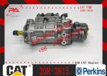 Diesel Fuel Injection Pump 20R-0819 for Caterpillar CAT 20R0819 253-4339 2534339