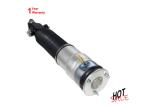 37126858811 37126858812 Rear Left and Right Air Suspension Strut Shock Absorber