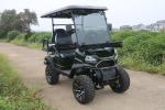 Electric Golf Cart With 4 Seaters And Front Rack 48V/4000W,150A Lithium Battery