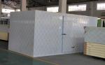 Construction Walk In Cold Room Food Storage With Insulation Panels