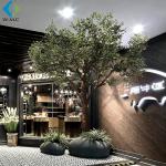 Big Fiberglass Trunk Artificial Olive Tree For Outdoor Garden Decoration