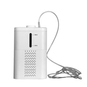 Wholesale 99.99% Purity Electrolytic Hydrogen Inhaler Machine VST-IH-07 600ml/Min from china suppliers