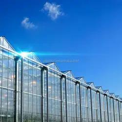China Agricultural Multi Span Glass Greenhouse Hydroponic Greenhouse Roof Ventilation on sale