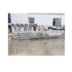 Hotsell Prune Cleaning Washing Production Line/Dried Prune/Apricot/Raisin Washer