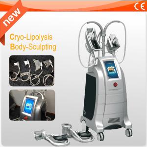 Wholesale 4 Handles Cryolipolysis Weight Loss Equipment Slimming Machine For Fast Fat Reduction from china suppliers