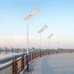 2 Heads 100W Led Luminaires For Road And Street Lighting 715x350x60mm