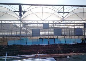 Wholesale Large Plastic Cover Greenhouse Hot Galvanized Skeleton With Strong Ventilation Ability from china suppliers