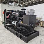 250kVA 200KW Generator Natural Gas Set Generator lpg Gas Reasonable Generator