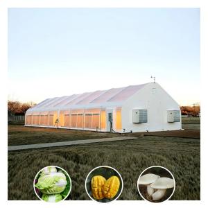 Wholesale Scalable Light Deprivation Solutions For Commercial Mushroom Growers from china suppliers