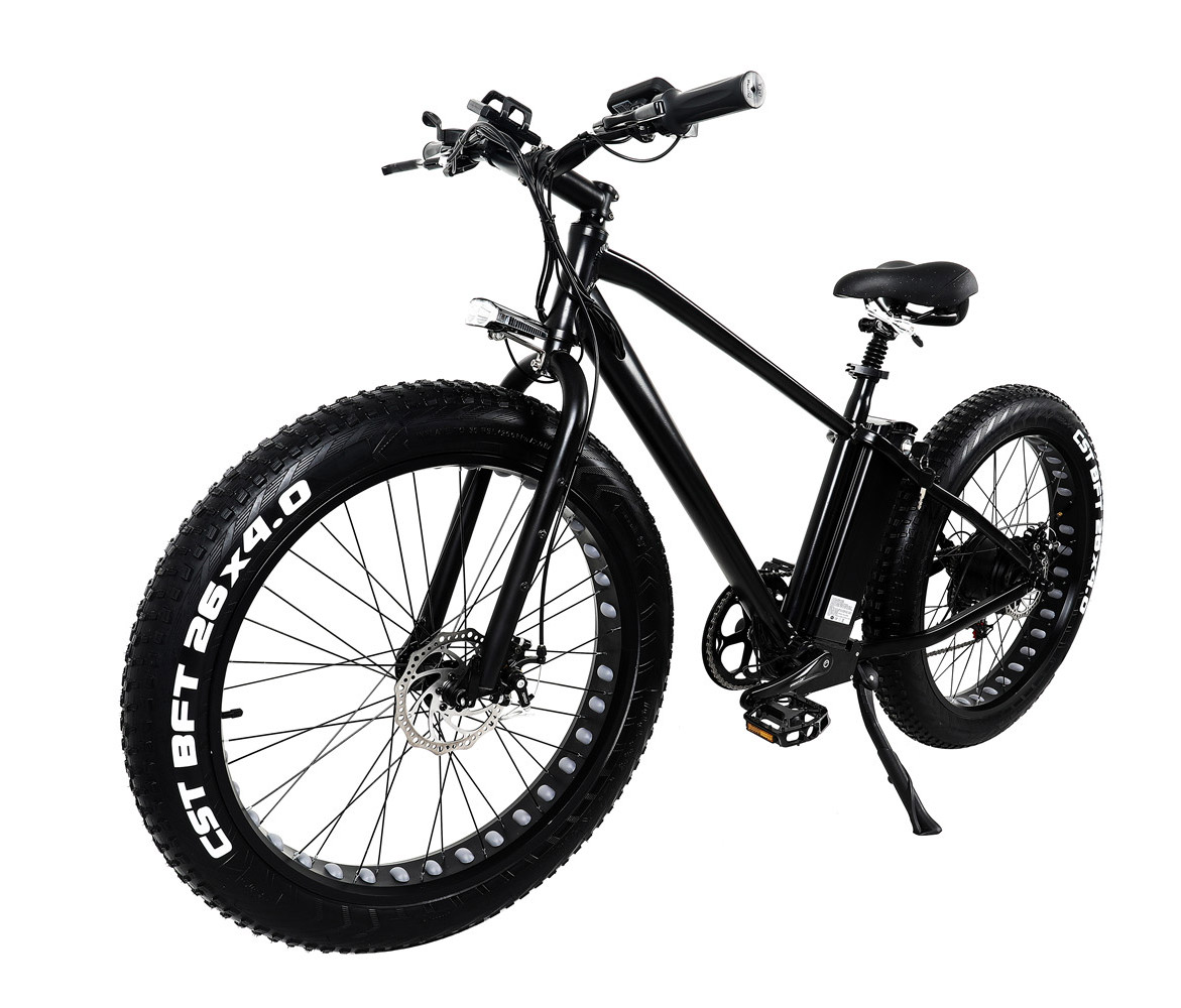 500W 750W Fat Tyre Electric Sport Bike With Double Disc Brake LCD Display High Power